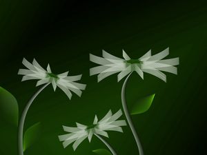 Preview wallpaper flowers, stems, line, green