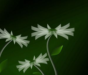 Preview wallpaper flowers, stems, line, green