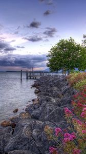 Preview wallpaper flowers, stones, coast, pier, sea, cloudy, colors