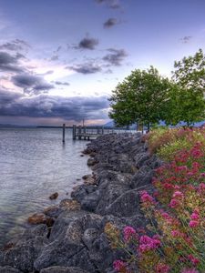 Preview wallpaper flowers, stones, coast, pier, sea, cloudy, colors