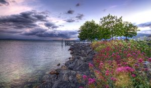 Preview wallpaper flowers, stones, coast, pier, sea, cloudy, colors
