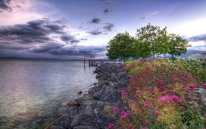 Preview wallpaper flowers, stones, coast, pier, sea, cloudy, colors