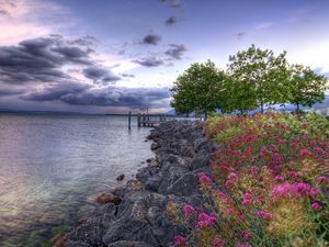 Preview wallpaper flowers, stones, coast, pier, sea, cloudy, colors