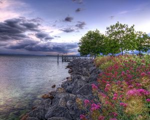 Preview wallpaper flowers, stones, coast, pier, sea, cloudy, colors