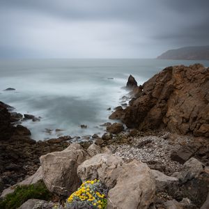 Preview wallpaper flowers, stones, slope, sea