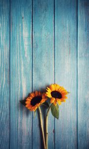 Preview wallpaper flowers, sunflowers, wooden, texture