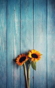 Preview wallpaper flowers, sunflowers, wooden, texture