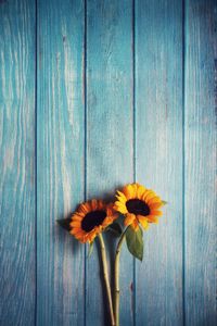 Preview wallpaper flowers, sunflowers, wooden, texture