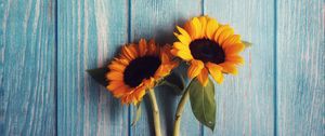 Preview wallpaper flowers, sunflowers, wooden, texture