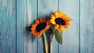 Preview wallpaper flowers, sunflowers, wooden, texture