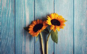 Preview wallpaper flowers, sunflowers, wooden, texture