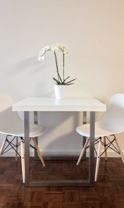 Preview wallpaper flowers, table, chairs, aesthetics, interior, white