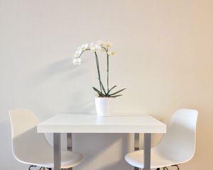 Preview wallpaper flowers, table, chairs, aesthetics, interior, white