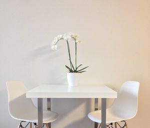 Preview wallpaper flowers, table, chairs, aesthetics, interior, white