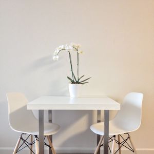 Preview wallpaper flowers, table, chairs, aesthetics, interior, white