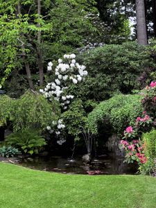 Preview wallpaper flowers, trees, fountain, lawn, garden