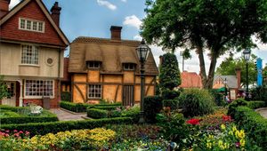 Preview wallpaper flowers, trees, town, flower bed, houses, hdr