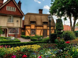 Preview wallpaper flowers, trees, town, flower bed, houses, hdr