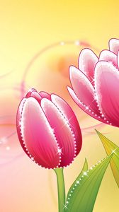 Preview wallpaper flowers, tulip, background, shiny