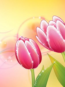 Preview wallpaper flowers, tulip, background, shiny