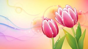 Preview wallpaper flowers, tulip, background, shiny