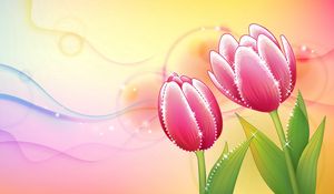 Preview wallpaper flowers, tulip, background, shiny