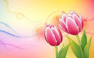 Preview wallpaper flowers, tulip, background, shiny