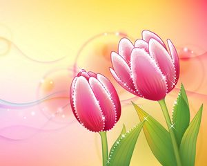 Preview wallpaper flowers, tulip, background, shiny