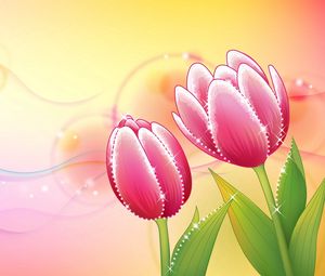 Preview wallpaper flowers, tulip, background, shiny