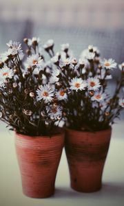 Preview wallpaper flowers, vase, blur, bouquets