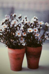 Preview wallpaper flowers, vase, blur, bouquets