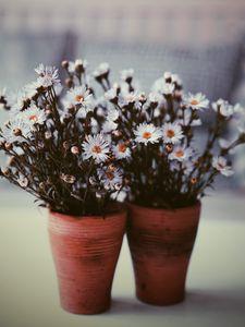 Preview wallpaper flowers, vase, blur, bouquets