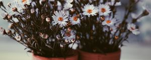 Preview wallpaper flowers, vase, blur, bouquets