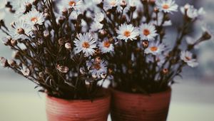 Preview wallpaper flowers, vase, blur, bouquets