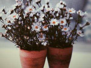 Preview wallpaper flowers, vase, blur, bouquets