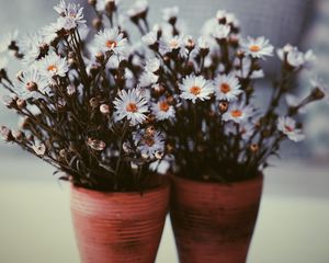 Preview wallpaper flowers, vase, blur, bouquets