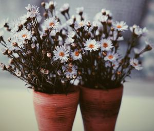 Preview wallpaper flowers, vase, blur, bouquets