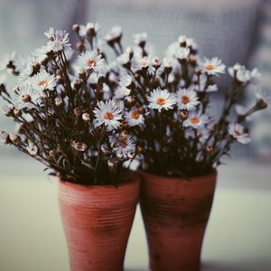 Preview wallpaper flowers, vase, blur, bouquets