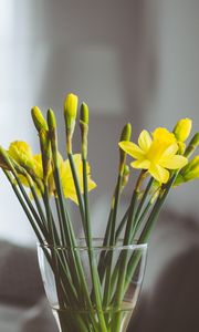 Preview wallpaper flowers, vase, bouquet