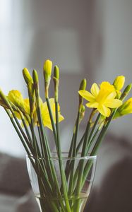 Preview wallpaper flowers, vase, bouquet