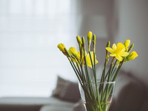 Preview wallpaper flowers, vase, bouquet