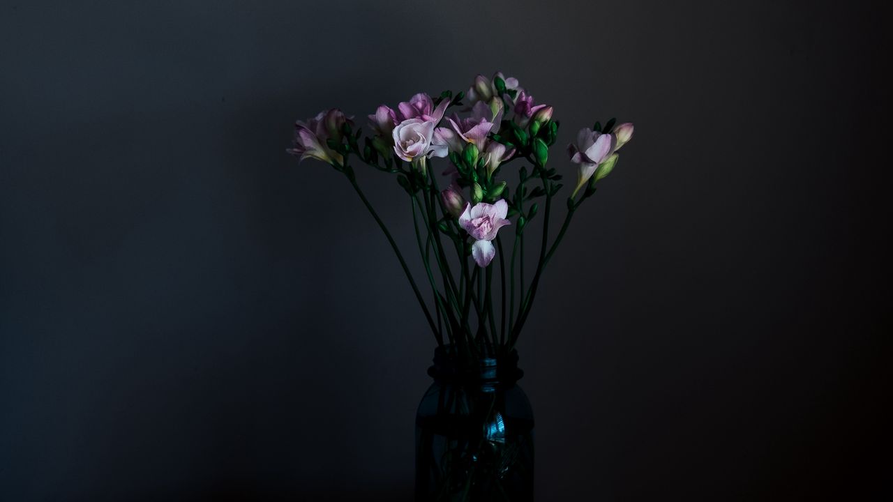 Wallpaper flowers, vase, dark, bouquet