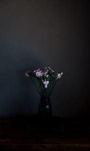 Preview wallpaper flowers, vase, dark, bouquet