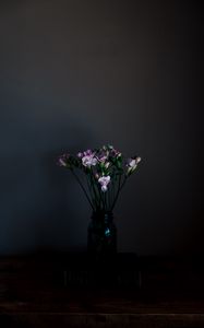 Preview wallpaper flowers, vase, dark, bouquet