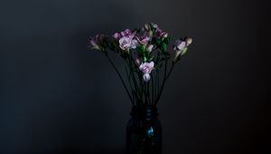 Preview wallpaper flowers, vase, dark, bouquet