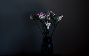 Preview wallpaper flowers, vase, dark, bouquet