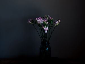 Preview wallpaper flowers, vase, dark, bouquet