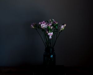 Preview wallpaper flowers, vase, dark, bouquet