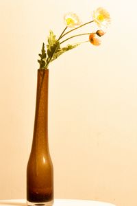 Preview wallpaper flowers, vase, decor, aesthetics