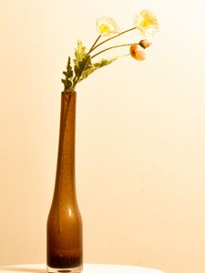 Preview wallpaper flowers, vase, decor, aesthetics